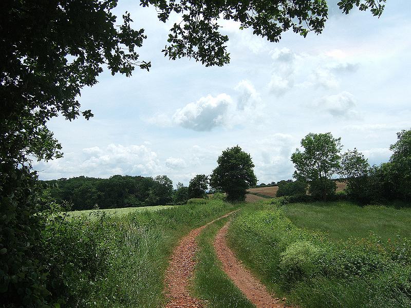 2010-05- (93).JPG